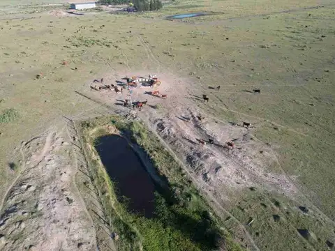 SE VENDE CAMPO,ALTAMENTE PRODUCTIVO.