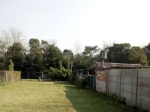 Chimbora 3731