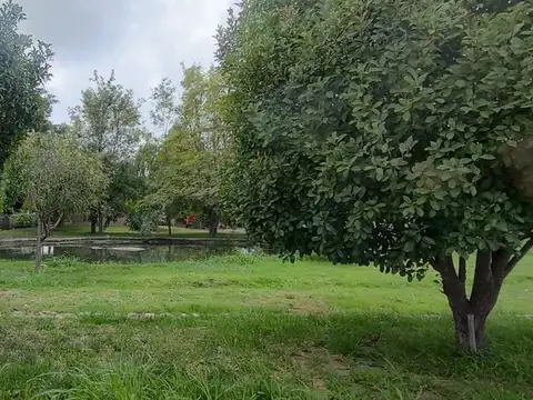 Terreno en Venta de 700,0 m2