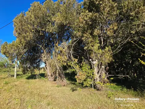 ruta 14 y Rotonda Termas