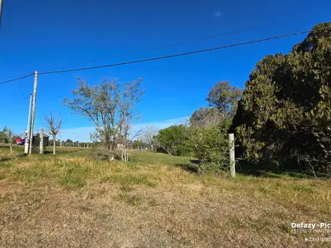 Terreno 1000 m2