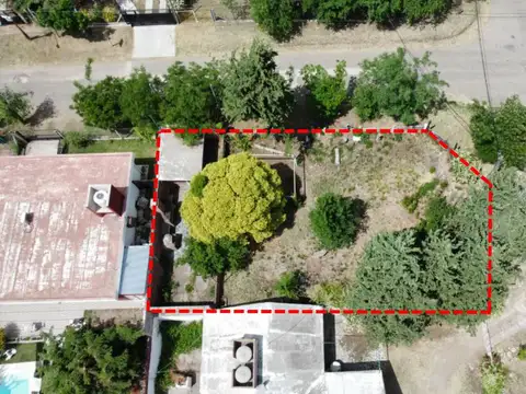 las lavandas 100