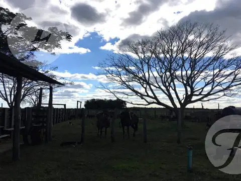 Corrientes I Campo 4168 ha