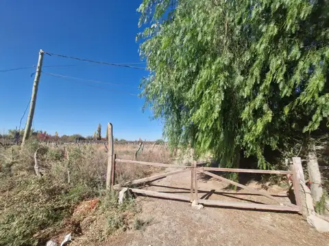 Terreno/finca 24996 m2. calle aguilera. angaco
