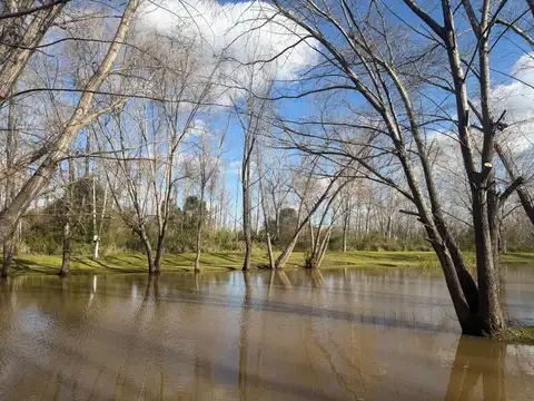 Venta de Lote en LOS PALMARES DEL DELTA, San Fernando
