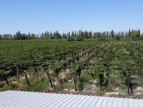 FINCA EN VENTA | OPORTUNIDAD DE INVERSIÓN | LAVALLE