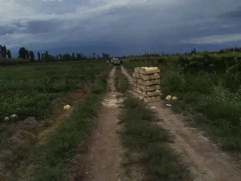FINCA EN VENTA | OPORTUNIDAD DE INVERSIÓN | LAVALLE