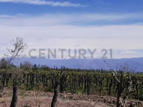 FINCA EN VENTA | OPORTUNIDAD DE INVERSIÓN | LAVALLE
