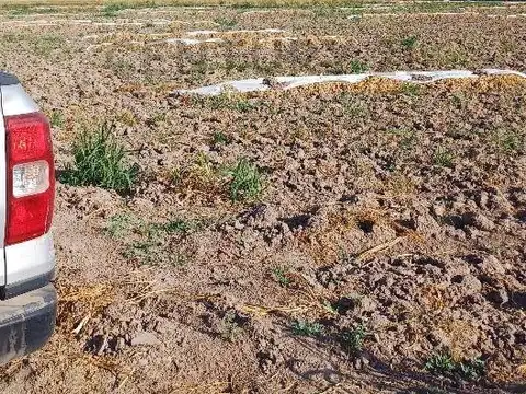 FINCA EN VENTA | OPORTUNIDAD DE INVERSIÓN | LAVALLE