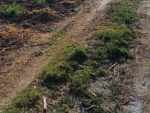 FINCA EN VENTA | OPORTUNIDAD DE INVERSIÓN | LAVALLE