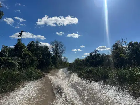 VENTA EN DELTA. Quinta El Recuerdo. Doble Lote. 1ra Sección. Arroyo Toro & Gelvez