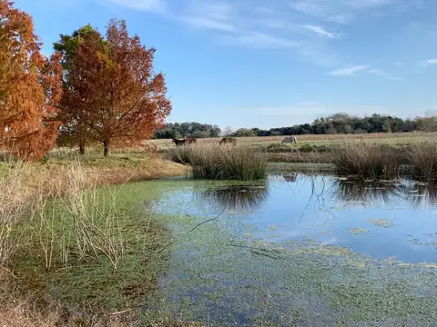 Terreno en Venta de 148000,0 m2