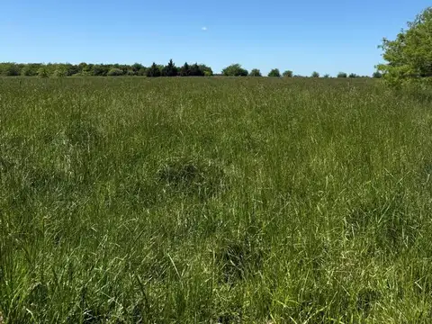 Terreno en Venta en San Miguel del Monte, USD 370.000