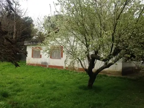 Amplio Terreno en Arturo Segui