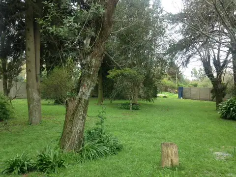 Terreno en Venta de 7000,0 m2