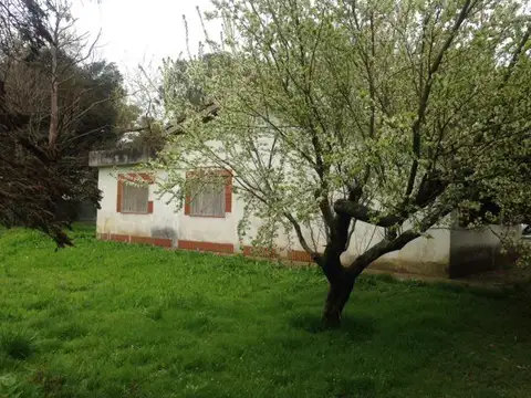 Amplio Terreno en Arturo Segui