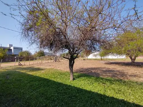 Los Horneros