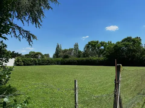 Excelente lote en Villa Elisa