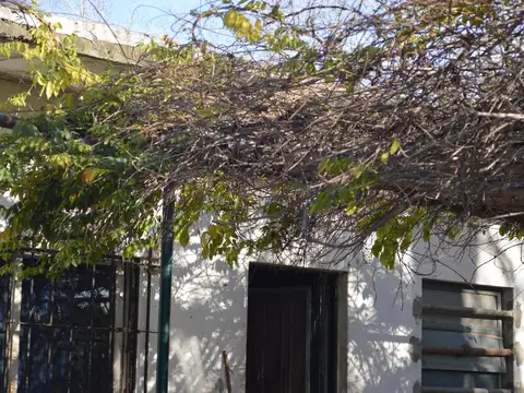 MAFFIA (WASHINGTON) al 1200