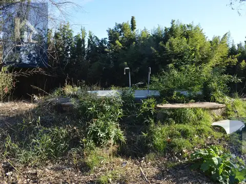 Terreno en Venta 43  mts Fondo