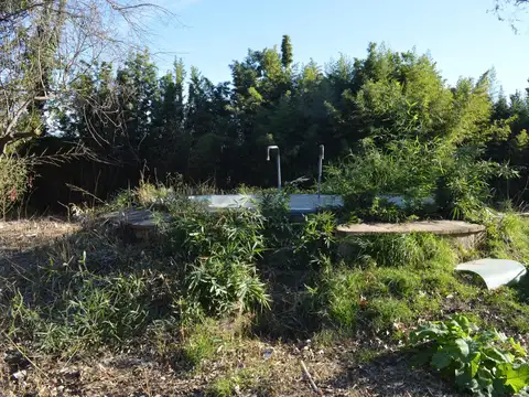 Terreno en Venta 43  mts Fondo