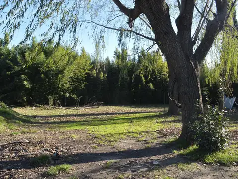 TERRENO VENTA 2 LOTES ALEJANDRO KORN CON CASA