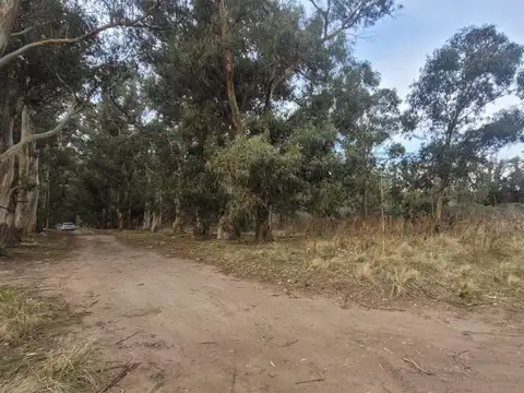 Terreno en Venta en Necochea, USD 5.500