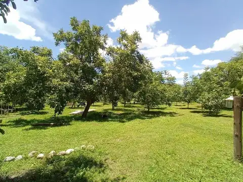 Ruta Nacional 40