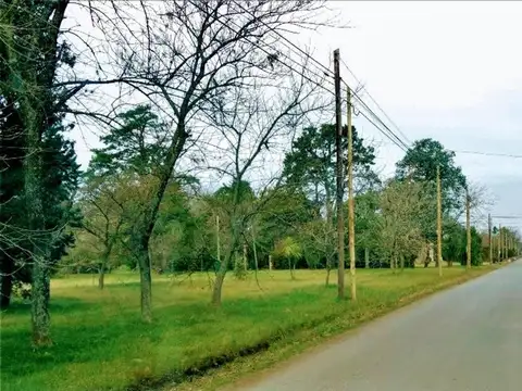 Lotes en venta Manzana 89, Parque Las Naciones, Guernica