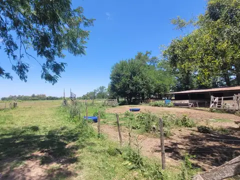 Venta Chacra 4500m2 en  Mercedes, Buenos Aires