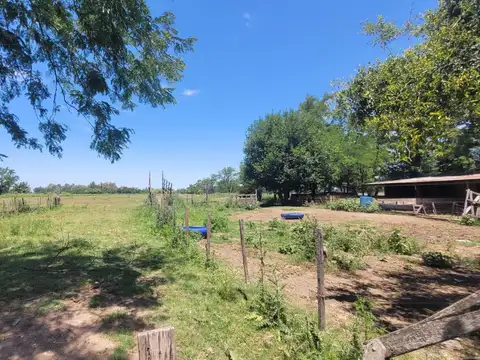 Venta Campo Chacra 4 1/2 has en Mercedes, Buenos Aires