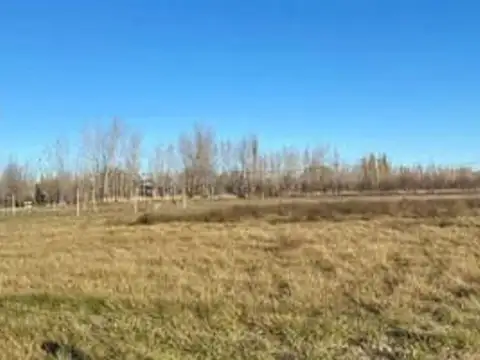 Lote en venta en General  Roca  sobre Calle Alsina