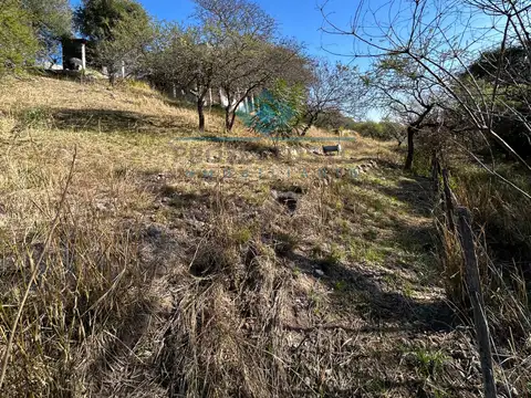 el cedron