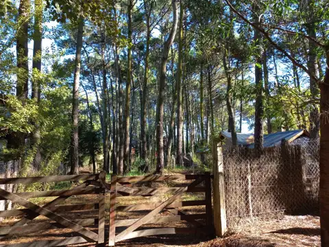 Terreno / Lote en venta de 475m2 ubicado en Mar Azul