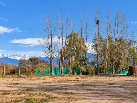Galpon en Venta 8 años