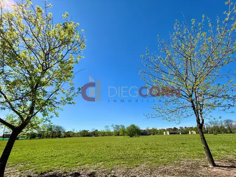 Av. Fernández Beschtedt