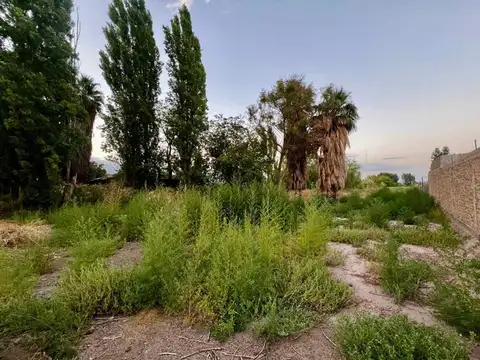 Calle Santo Tomás de Aquino 6800