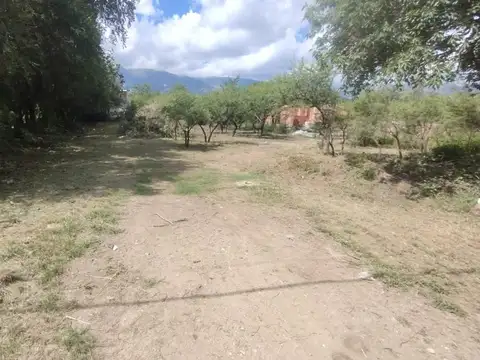 Los Olivares sn
