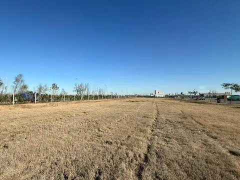 Avenida de los lagos