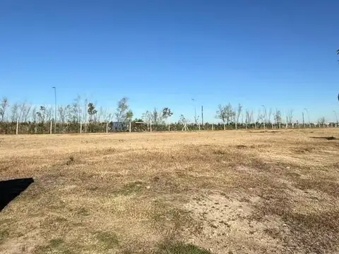 Lote en Venta  en Nativas - Puertos