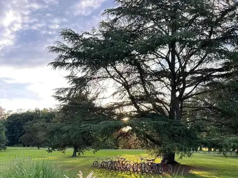 Terreno en Venta de 2513,0 m2