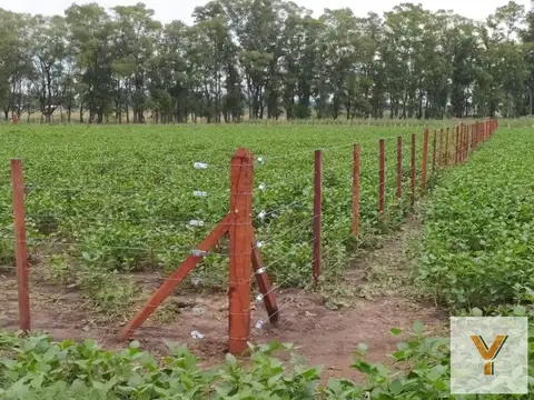 Terreno en Venta en Carlos Keen, USD 33.000