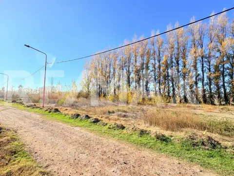 Terreno en Venta de 370,0 m2
