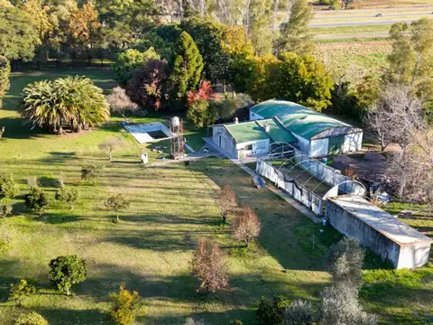 Terreno en Venta de 141252,0 m2