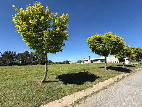 Terreno en Venta de 2000,0 m2