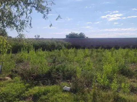 Venta lote Barrio Las Palmeras