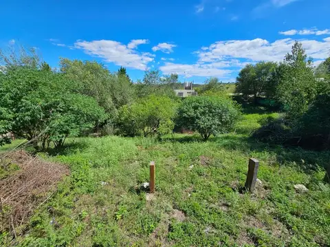 Capitan Garcia Cuerva 500