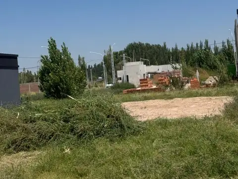 Alberdi 2000