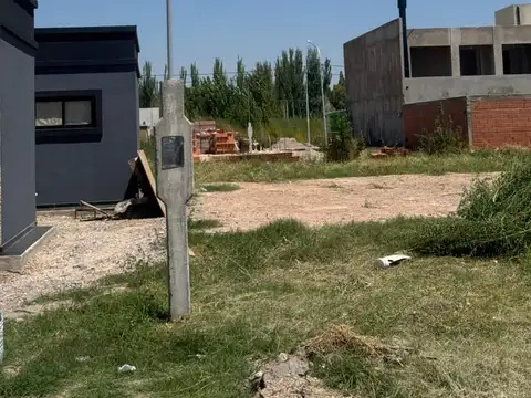 Alberdi 2000