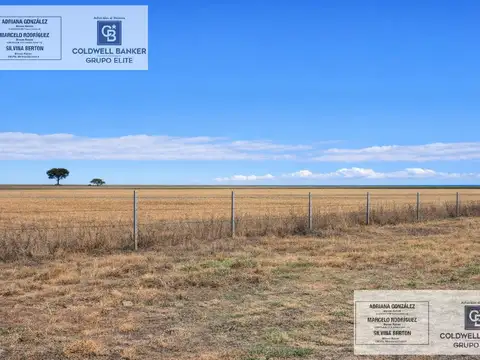 VENTA TERRENO RURAL DE 21,160 MTS. EN BARRIO LA SUSANA, VILLA MERCEDES SAN LUIS